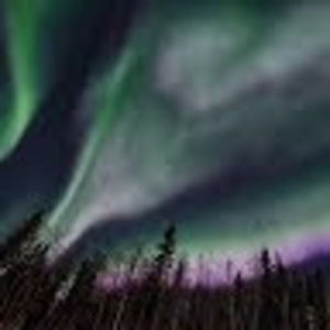 Meet your Posher, Lissa